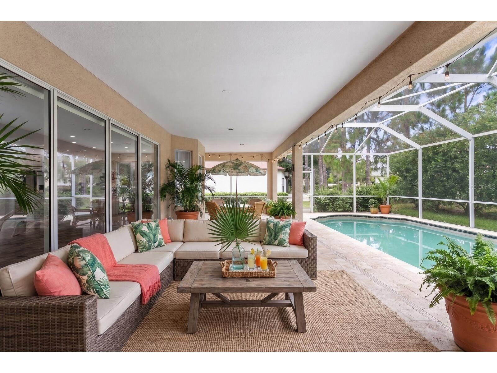 10411 Canary Isle Drive Tampa FL 33647 TB8523683 image4