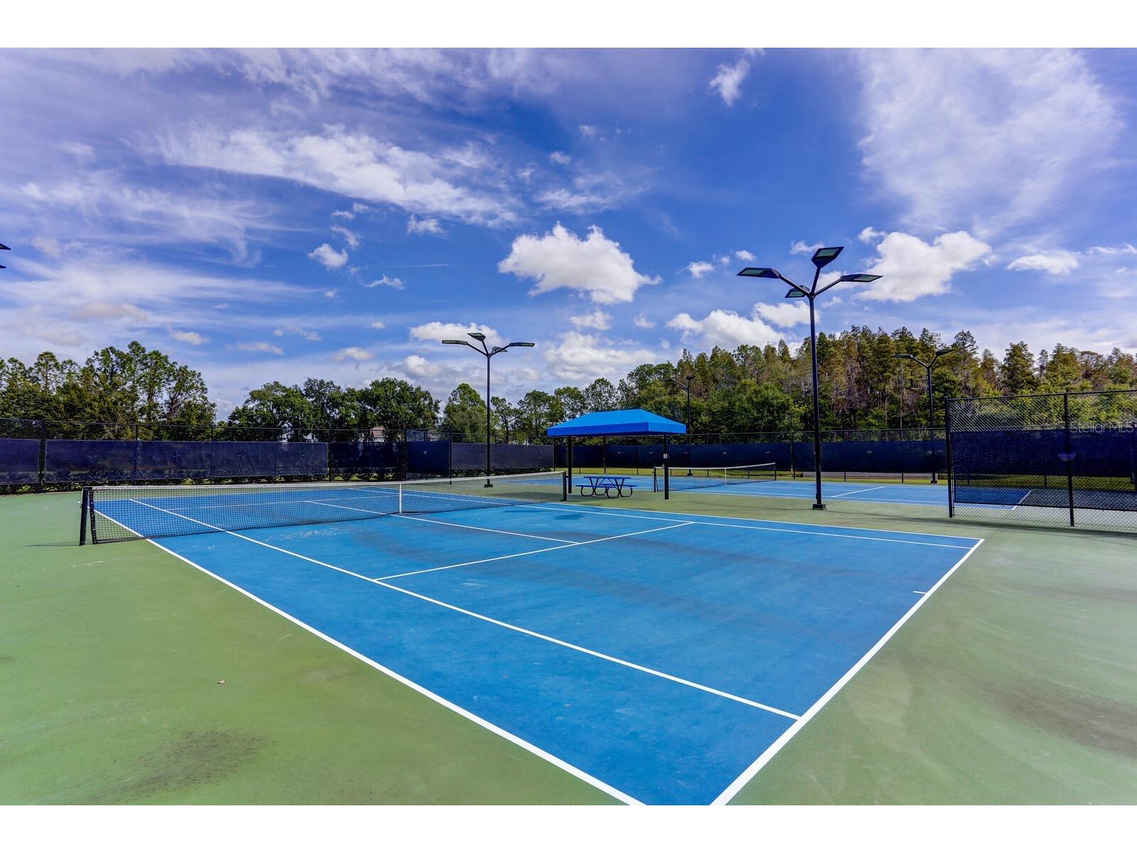 10411 Canary Isle Drive Tampa FL 33647 TB8523683 image47