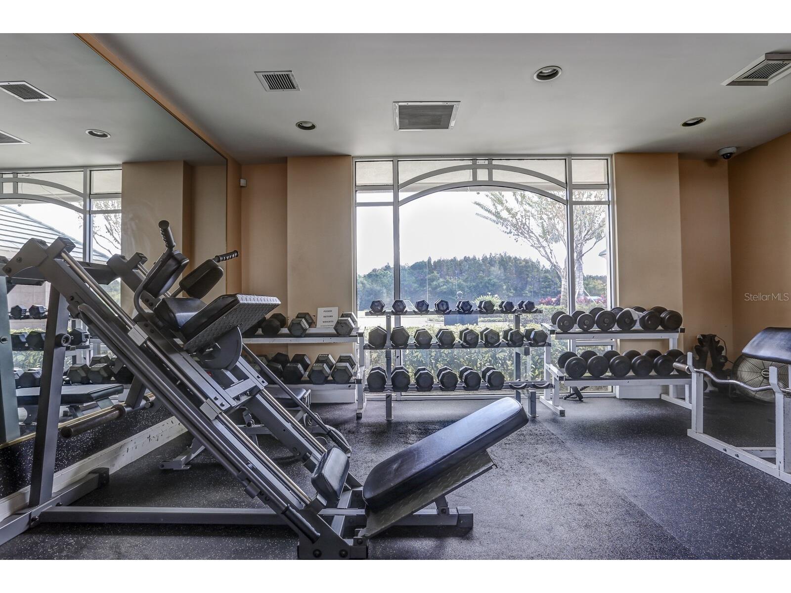 10411 Canary Isle Drive Tampa FL 33647 TB8523683 image50