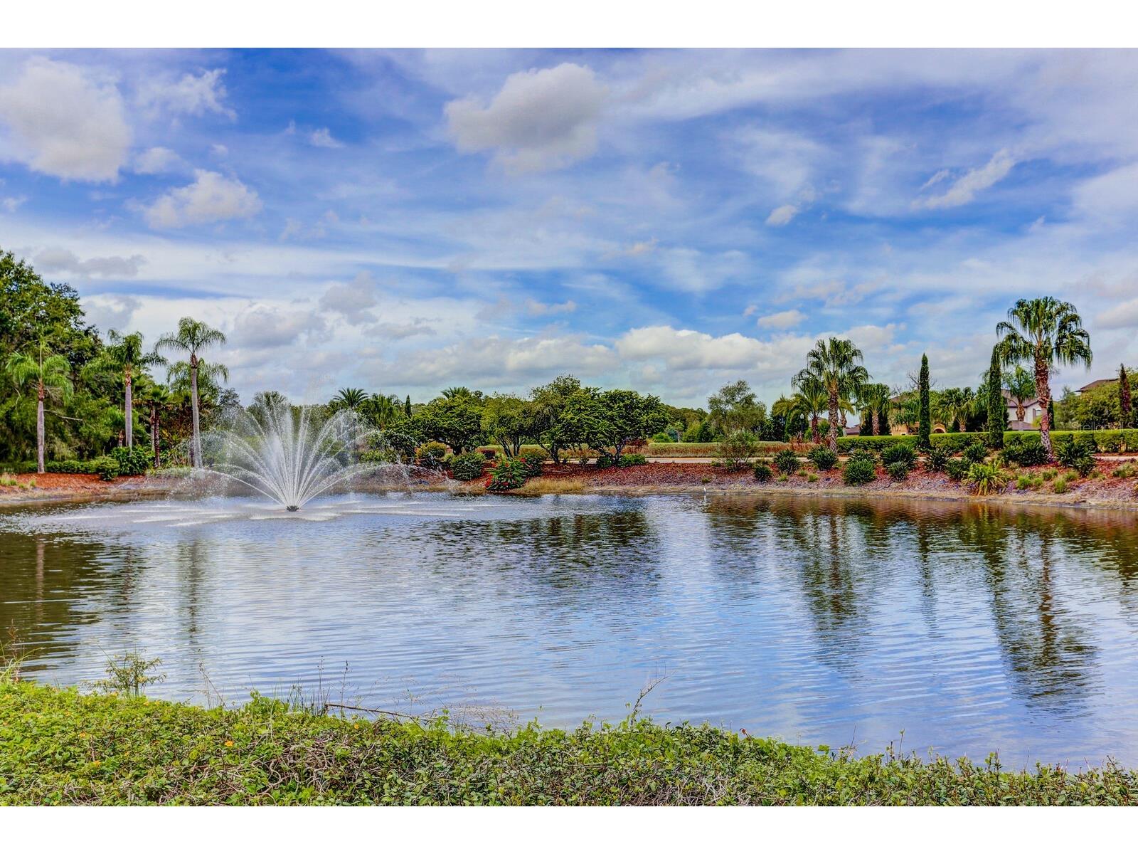 10411 Canary Isle Drive Tampa FL 33647 TB8523683 image53