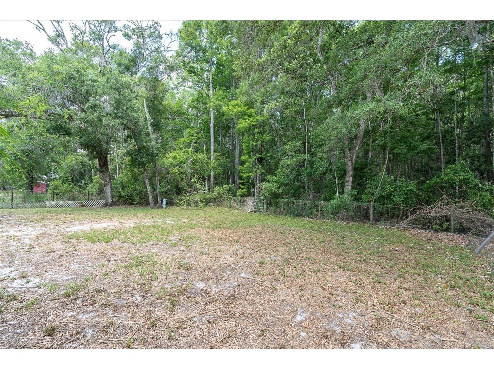 10411 Chip Lane New Port Richey FL 34654 W7884859 image9
