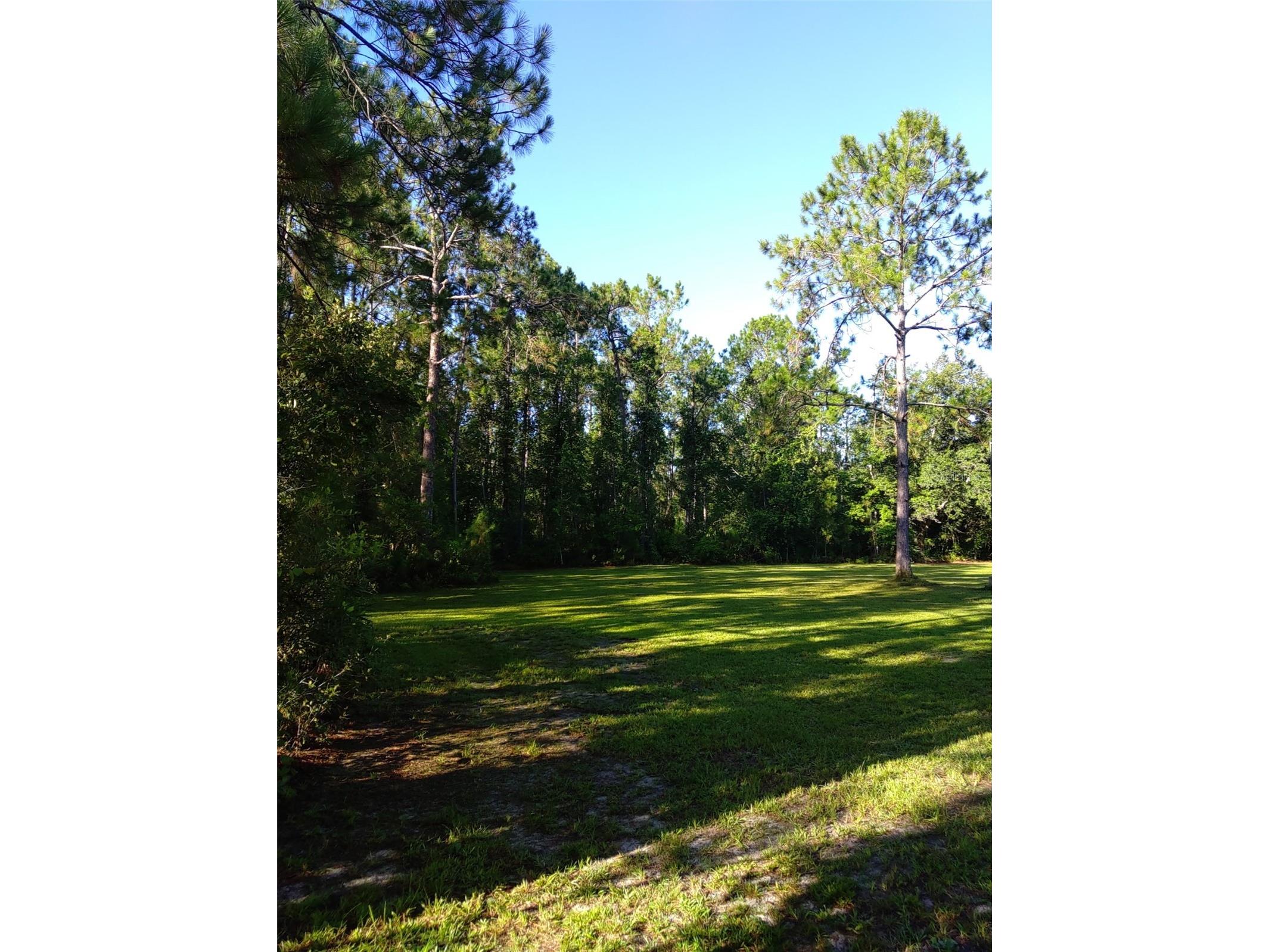 10411 County Road 474 Clermont FL 34714 G5106136 image55