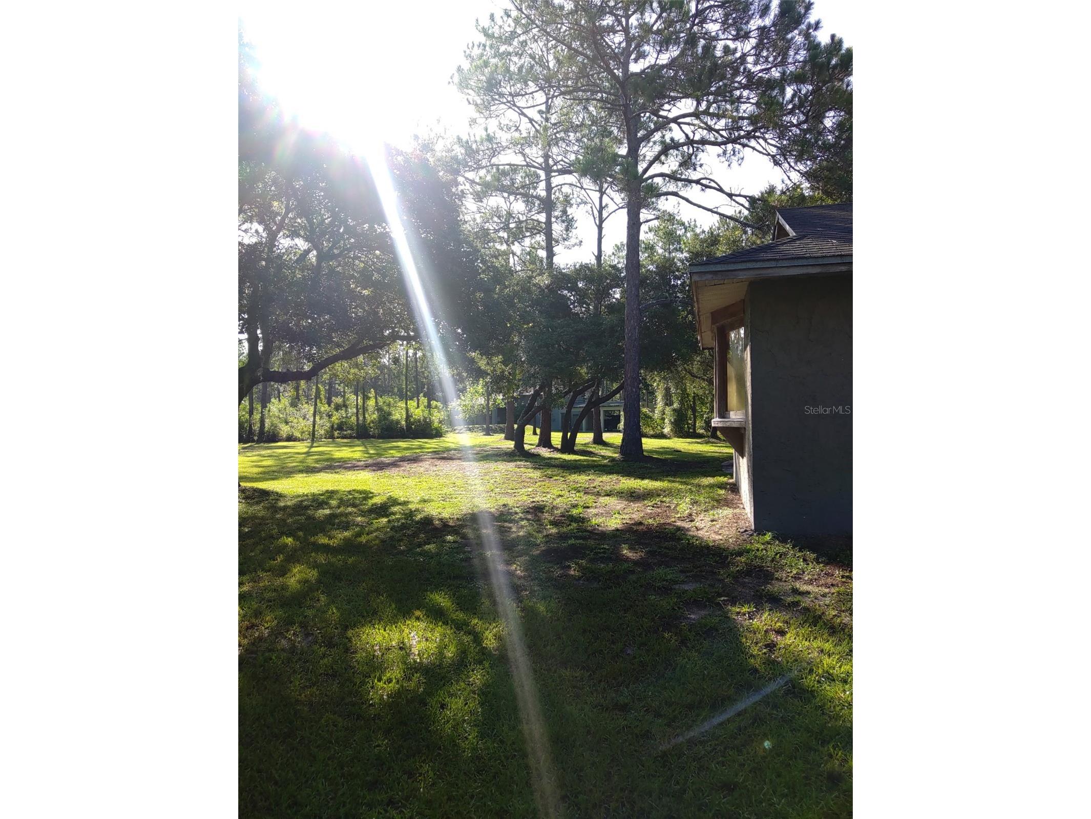 10411 County Road 474 Clermont FL 34714 G5106136 image56