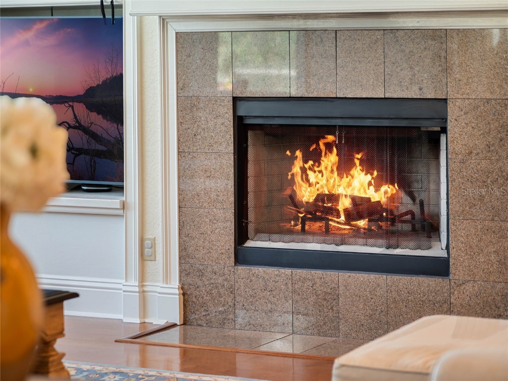 10411 Hart Branch Circle Orlando FL 32832 - LAKE HART O6287774 image19