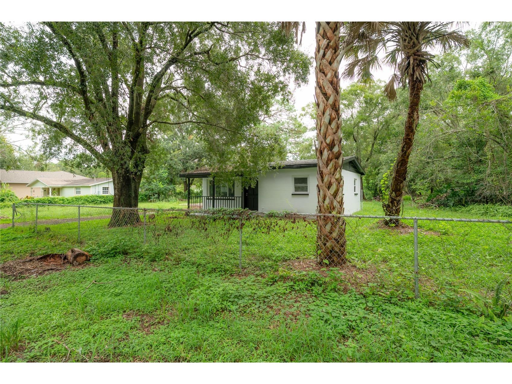 10411 N Woodmere Road Tampa FL 33617 TB8477373 image26