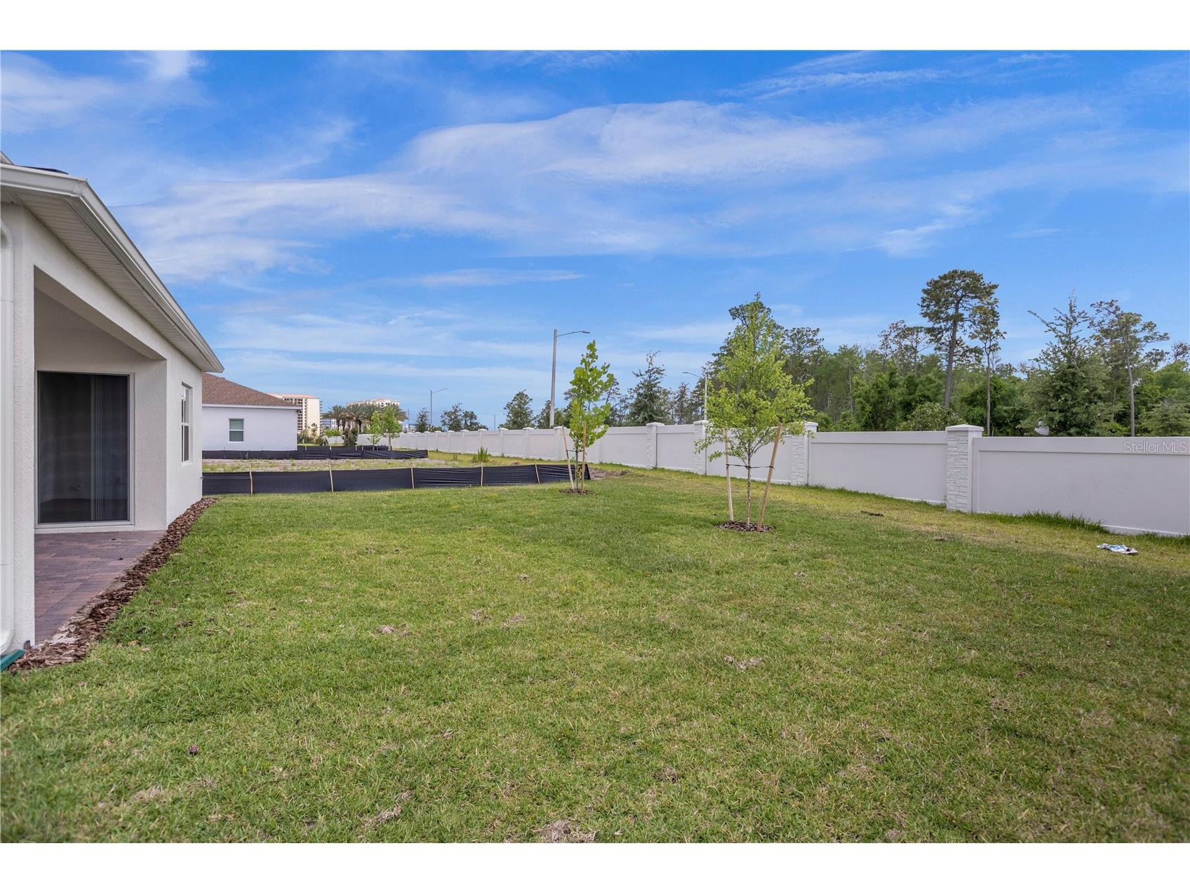 10411 Park Estates Avenue Orlando FL 32836 O6399722 image48