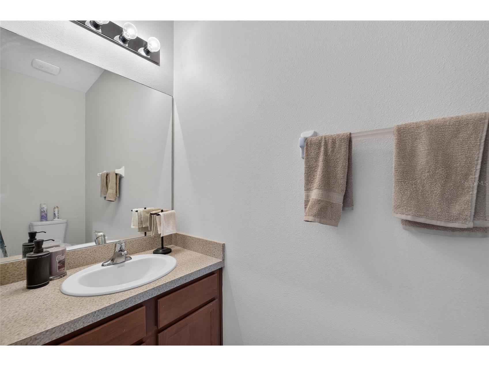 10411 Red Carpet Court Riverview FL 33578 TB8521635 image21