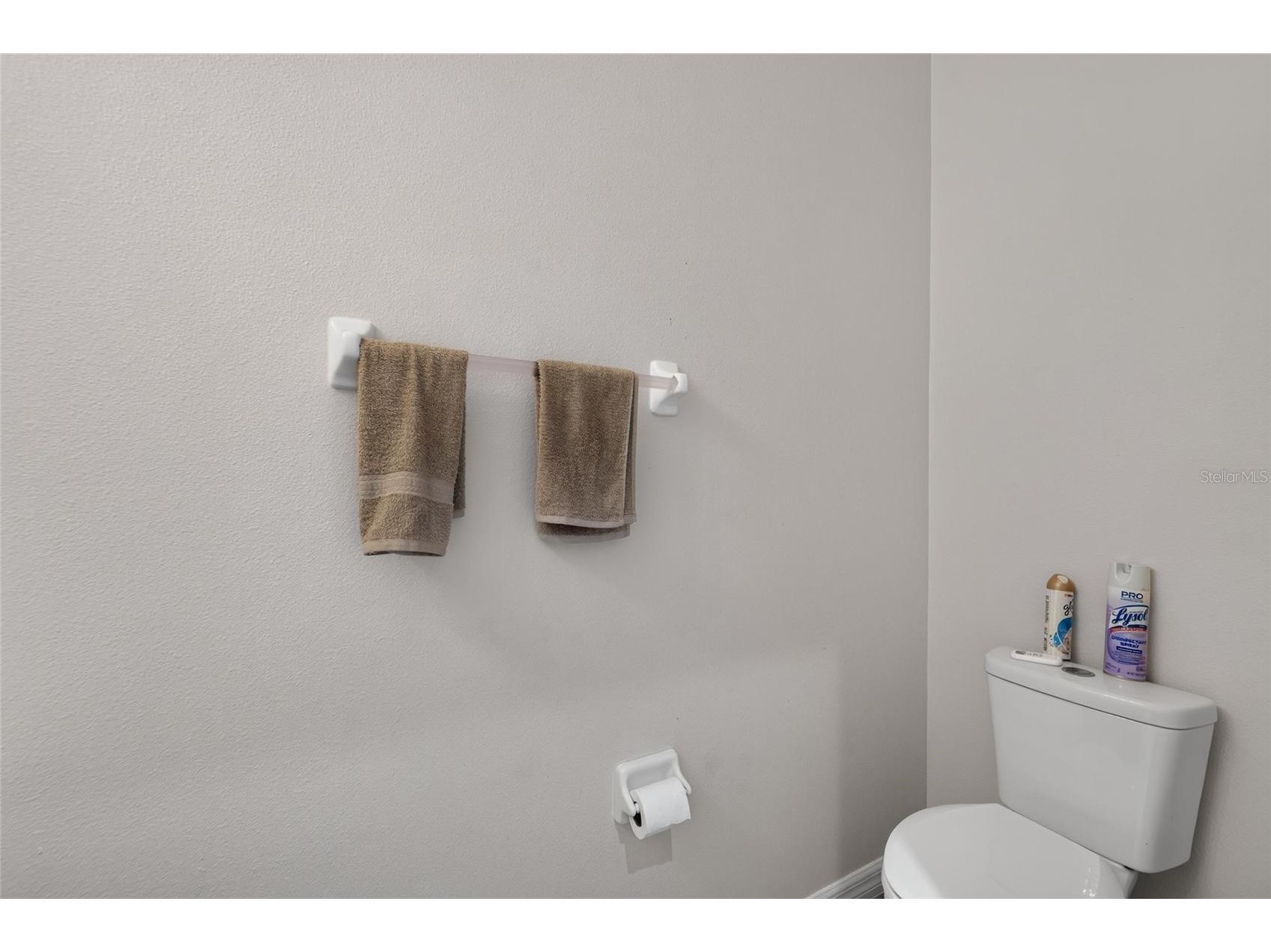 10411 Red Carpet Court Riverview FL 33578 TB8521635 image22