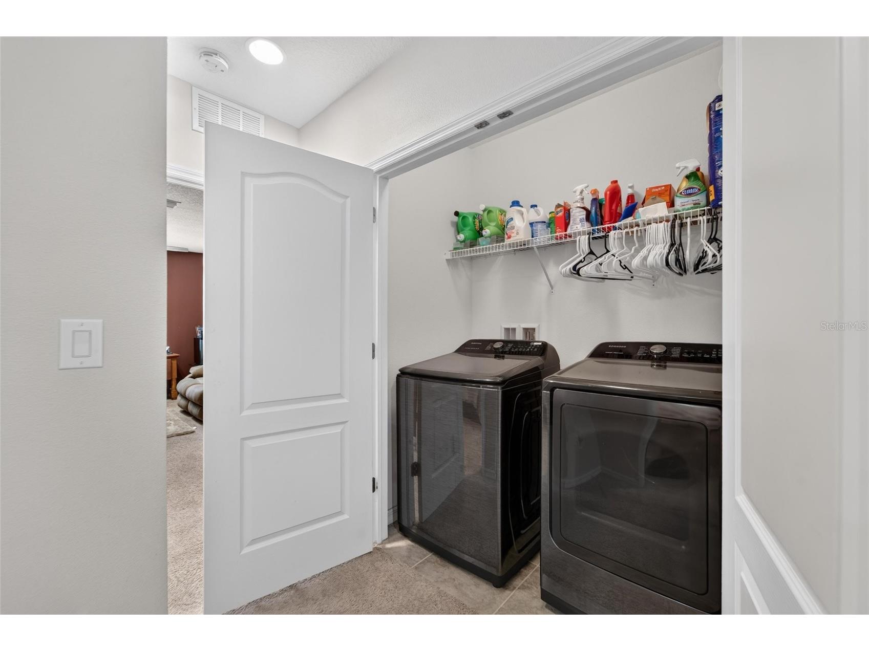 10411 Red Carpet Court Riverview FL 33578 TB8521635 image29
