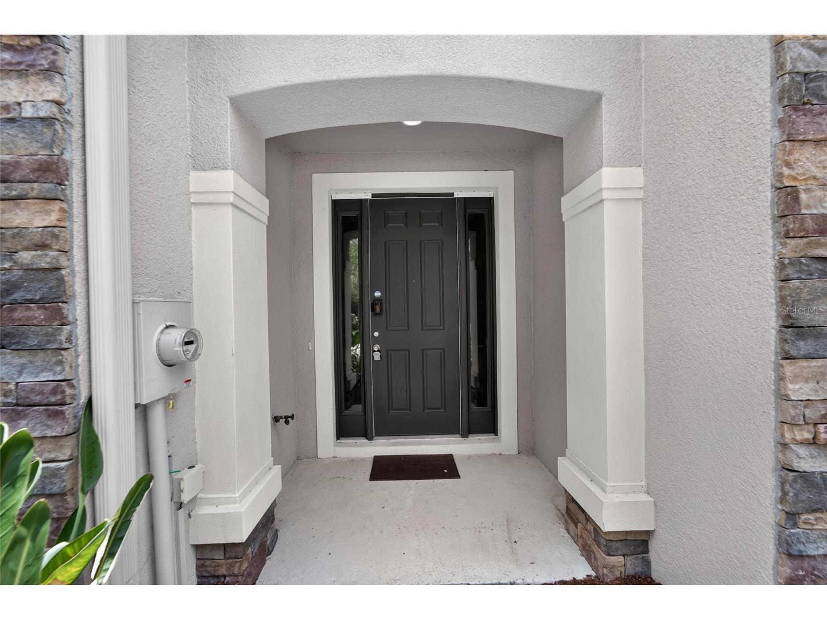 10411 Red Carpet Court Riverview FL 33578 TB8521635 image3