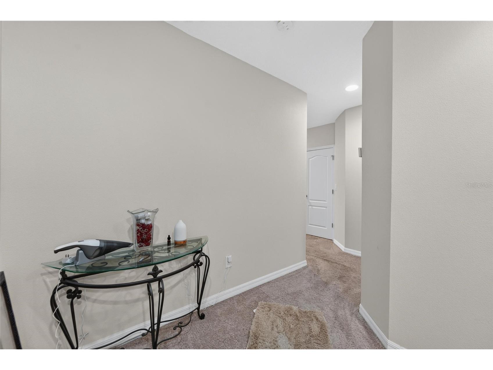 10411 Red Carpet Court Riverview FL 33578 TB8521635 image31