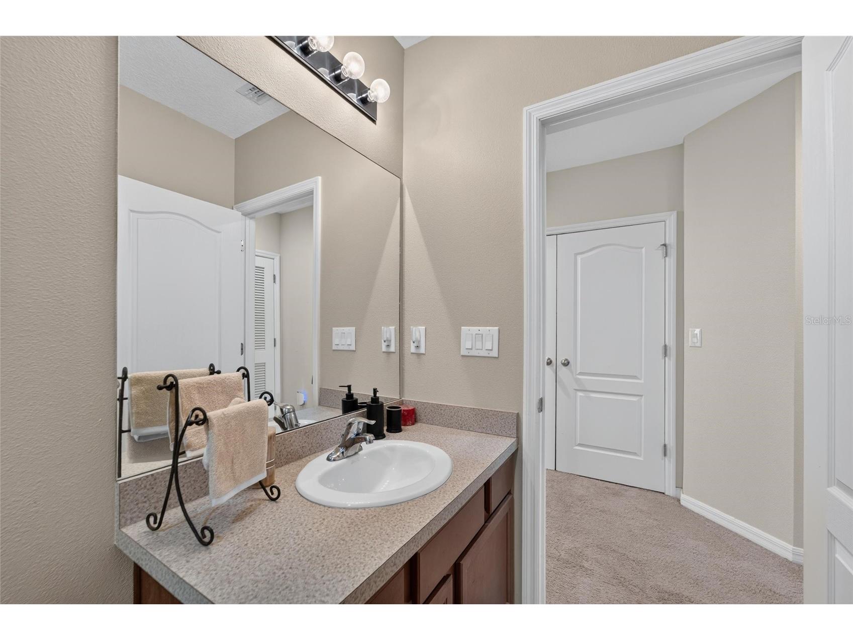 10411 Red Carpet Court Riverview FL 33578 TB8521635 image43