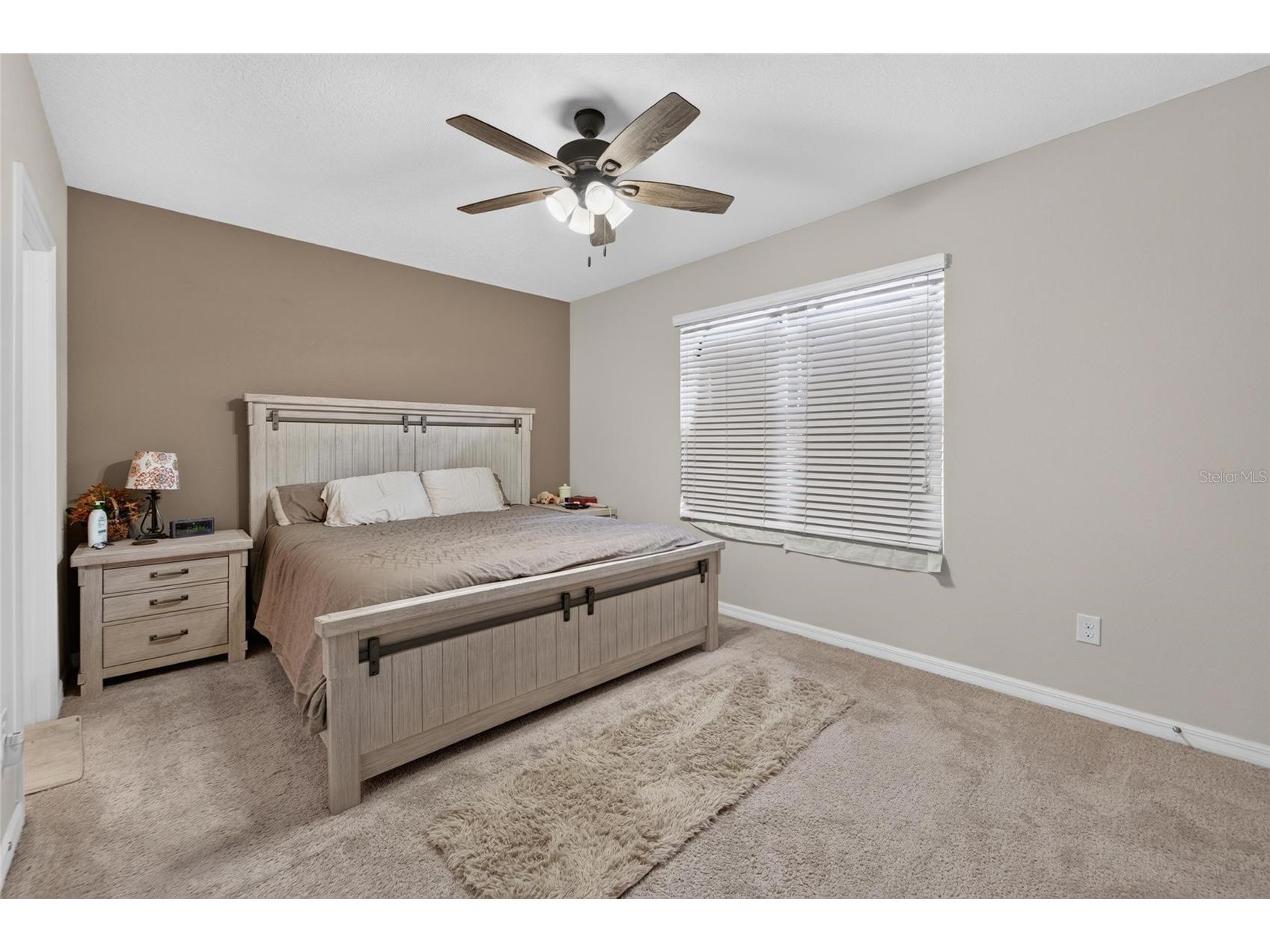 10411 Red Carpet Court Riverview FL 33578 TB8521635 image47