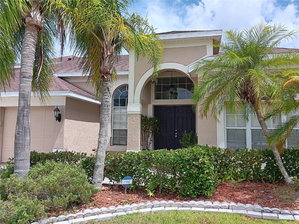 10411 Riverburn Drive Tampa FL 33647 T3453529 image1