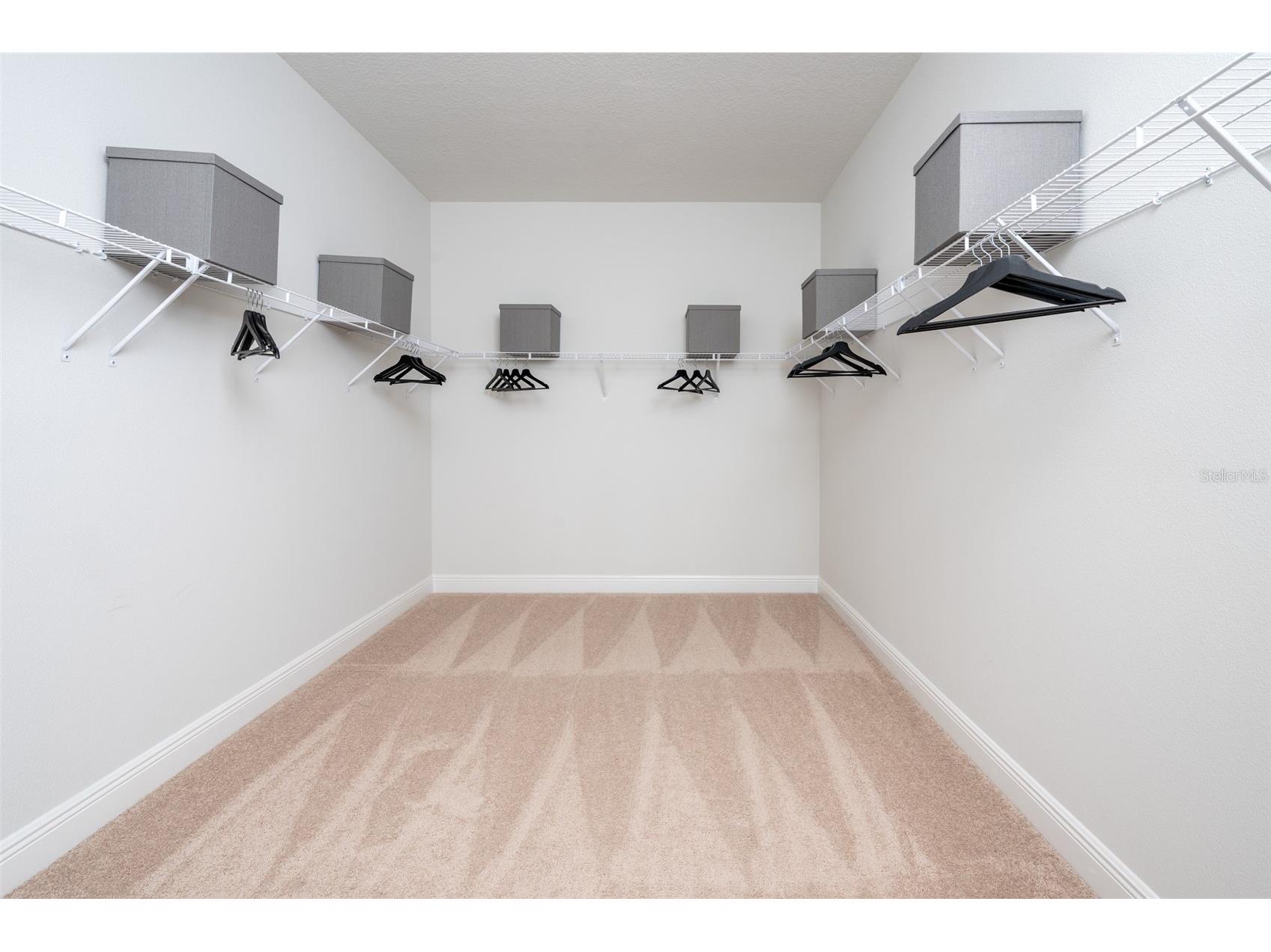 10412 Fieldstone Myrtle Way San Antonio FL 33576 TB8470333 image15