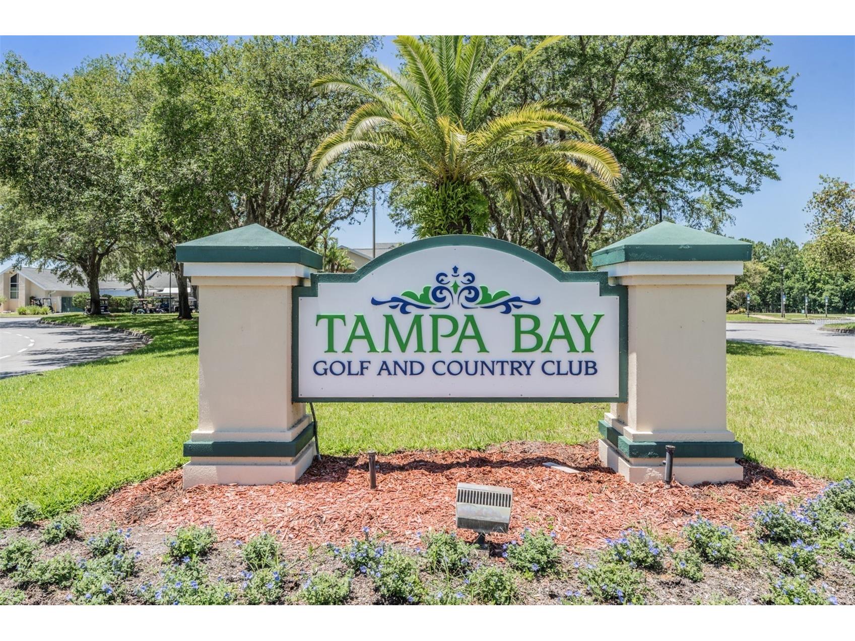 10412 Old Tampa Bay Drive San Antonio FL 33576 TB8485999 image54