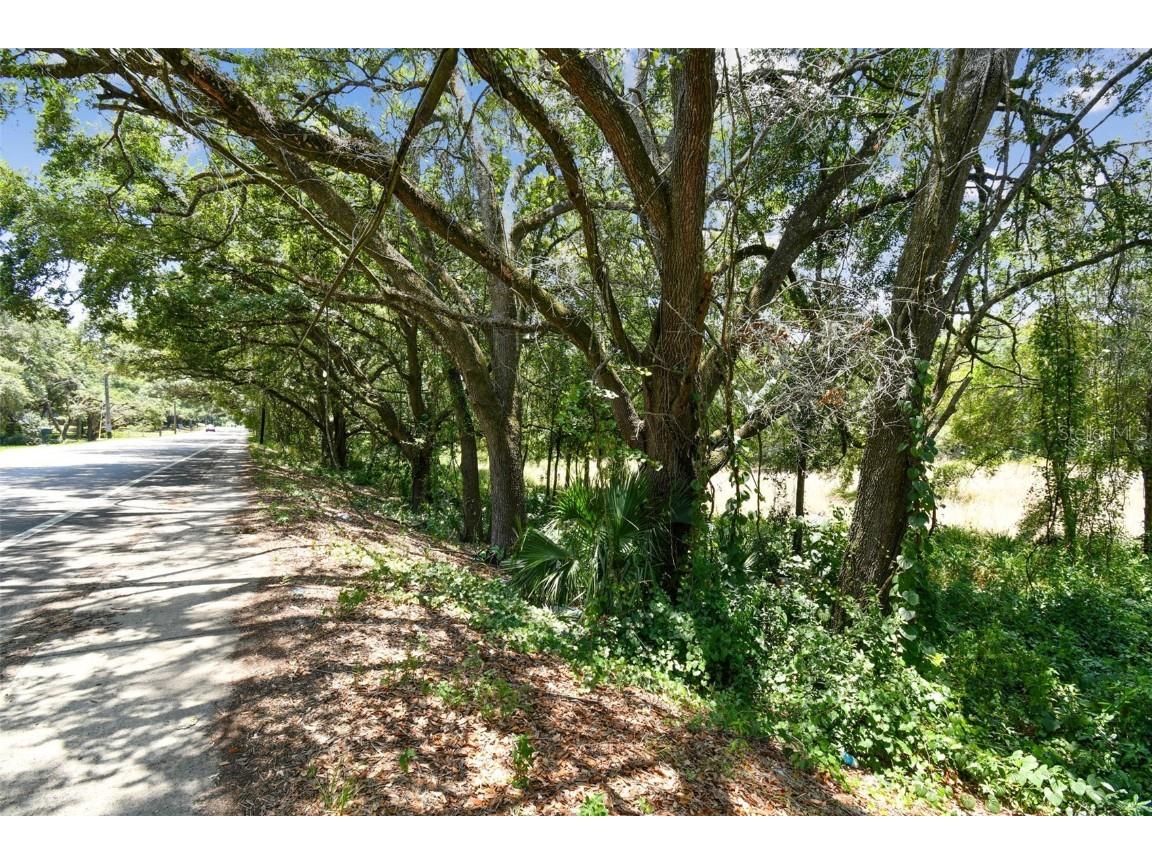 10413 Main Street Thonotosassa FL 33592 T3532576 image11