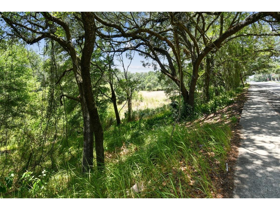 10413 Main Street Thonotosassa FL 33592 T3532576 image12