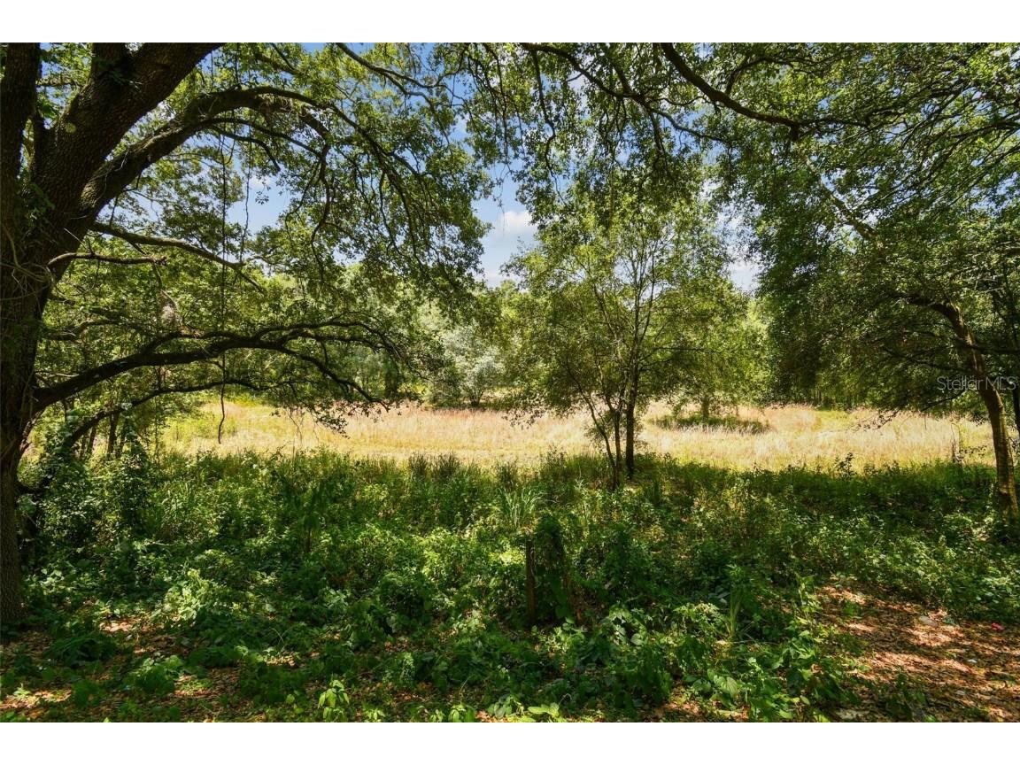 10413 Main Street Thonotosassa FL 33592 T3532576 image13