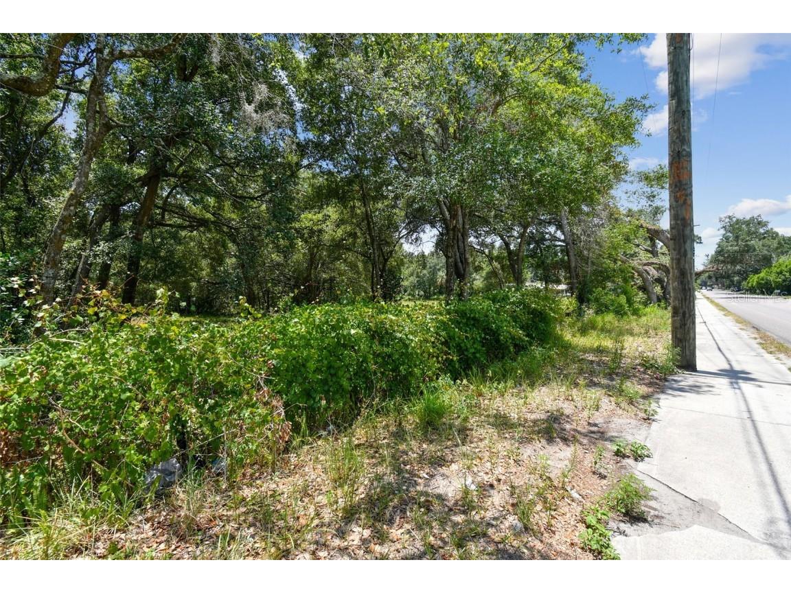 10413 Main Street Thonotosassa FL 33592 T3532576 image14