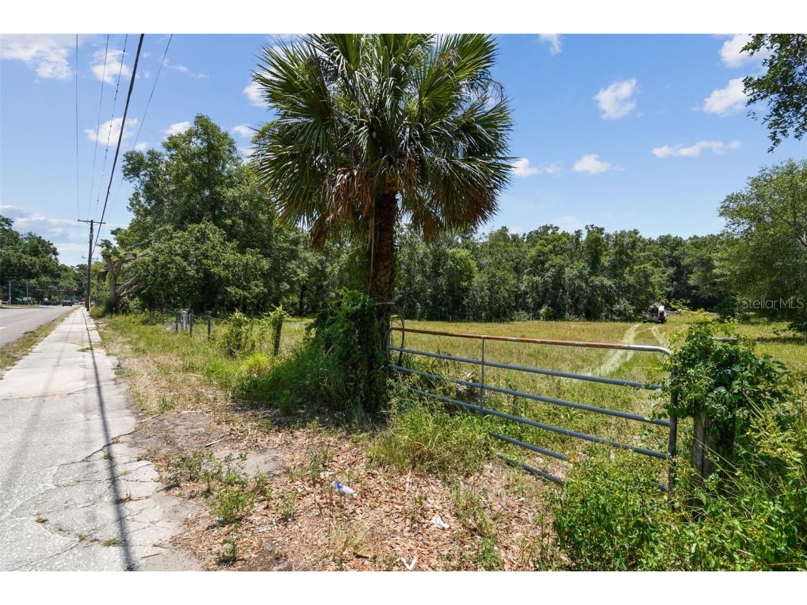 10413 Main Street Thonotosassa FL 33592 T3532576 image16