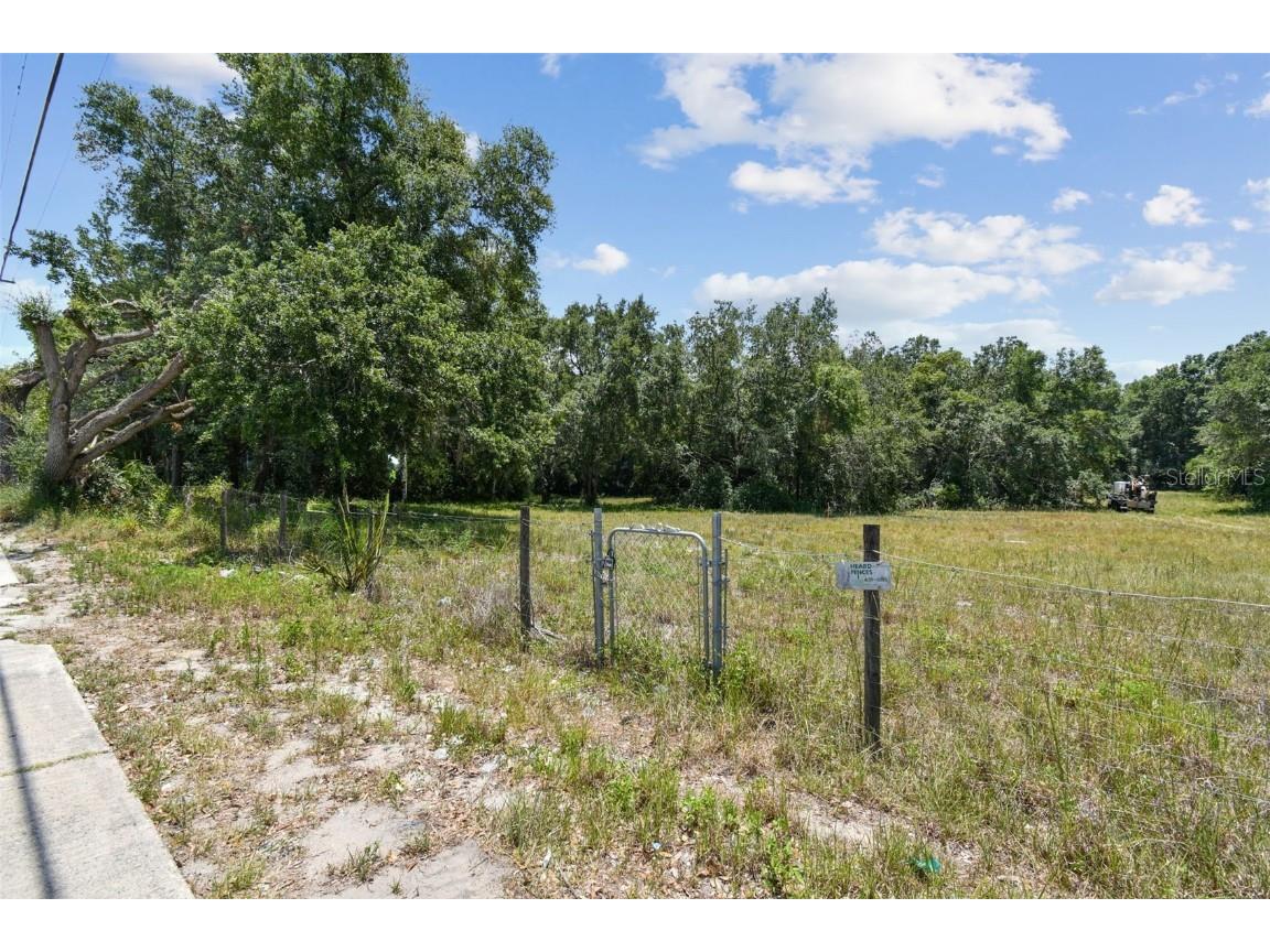 10413 Main Street Thonotosassa FL 33592 T3532576 image17