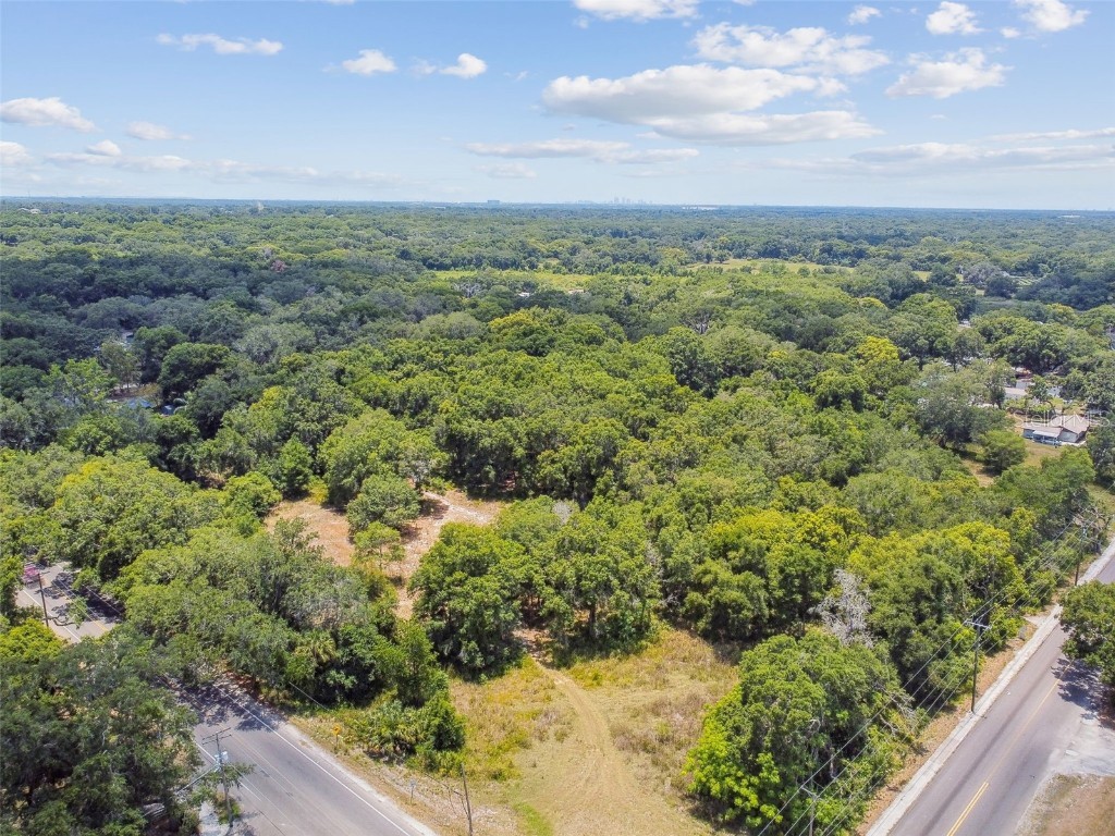 10413 Main Street Thonotosassa FL 33592 T3532576 image2