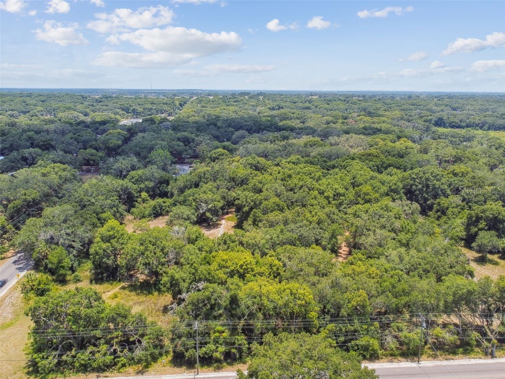 10413 Main Street Thonotosassa FL 33592 T3532576 image3