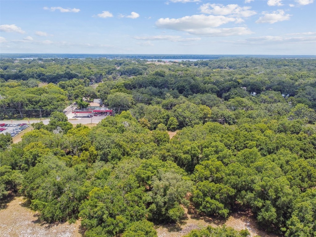 10413 Main Street Thonotosassa FL 33592 T3532576 image4