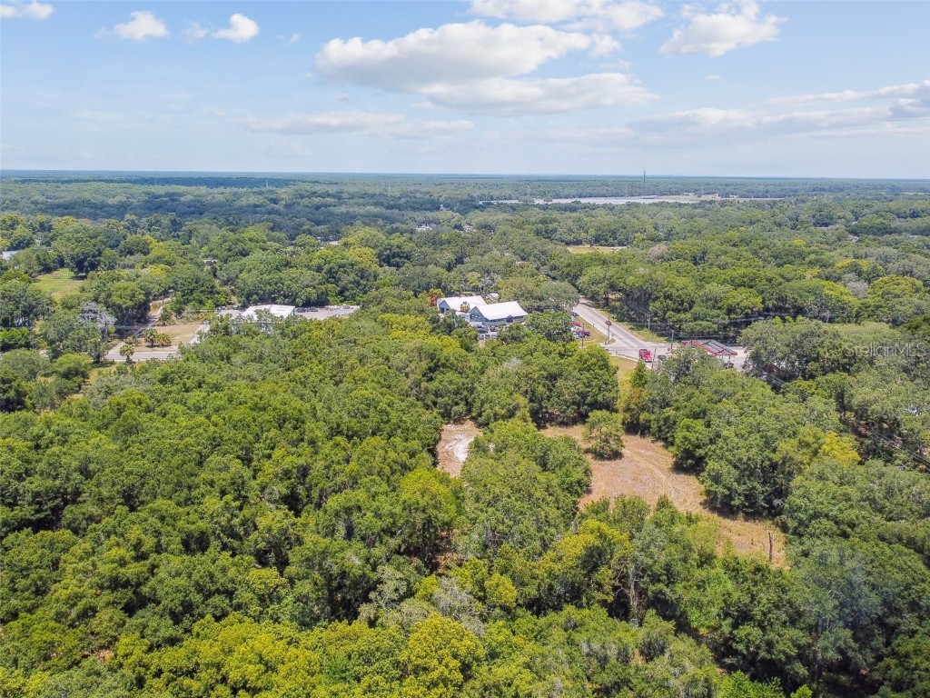 10413 Main Street Thonotosassa FL 33592 T3532576 image5