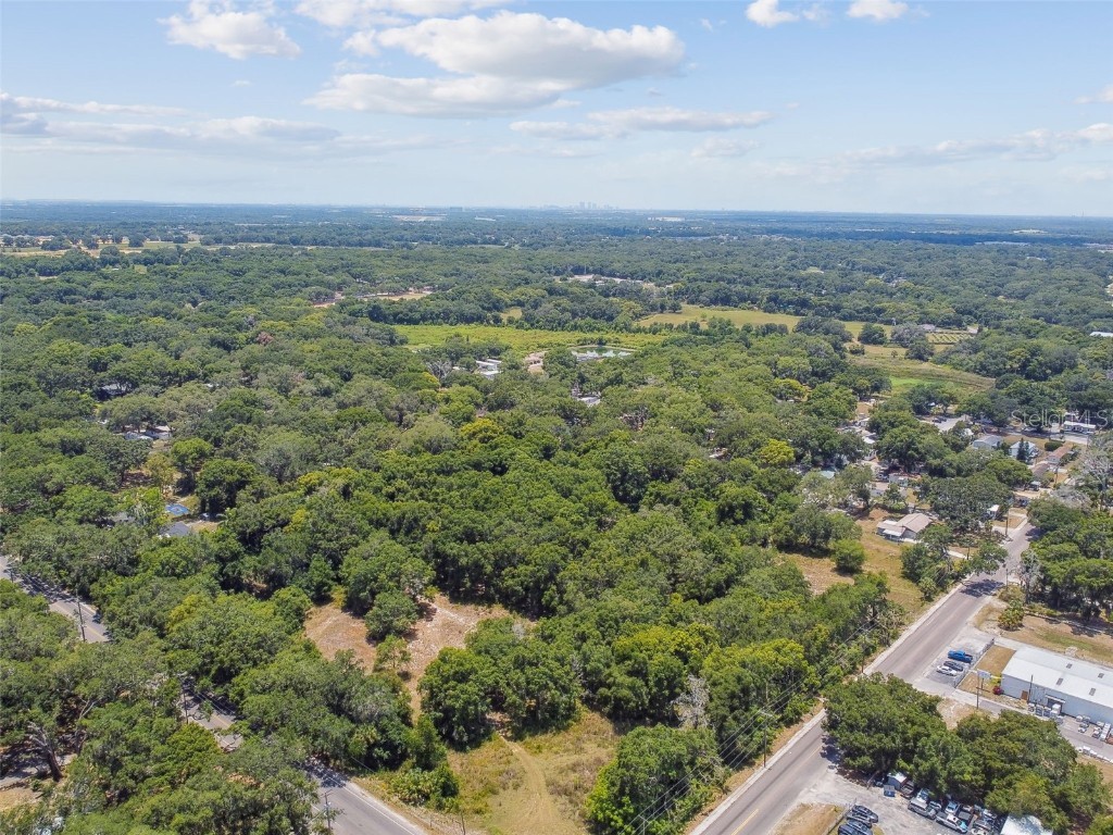 10413 Main Street Thonotosassa FL 33592 T3532576 image8