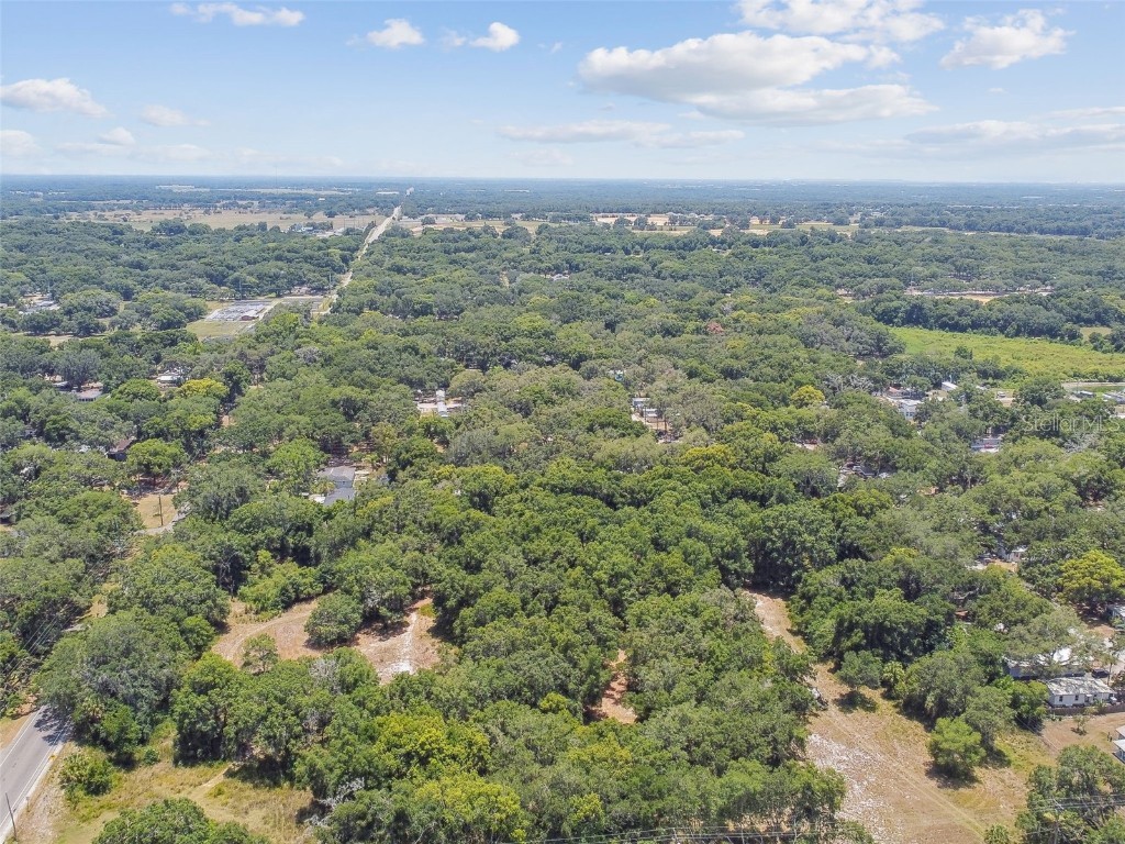 10413 Main Street Thonotosassa FL 33592 T3532576 image9