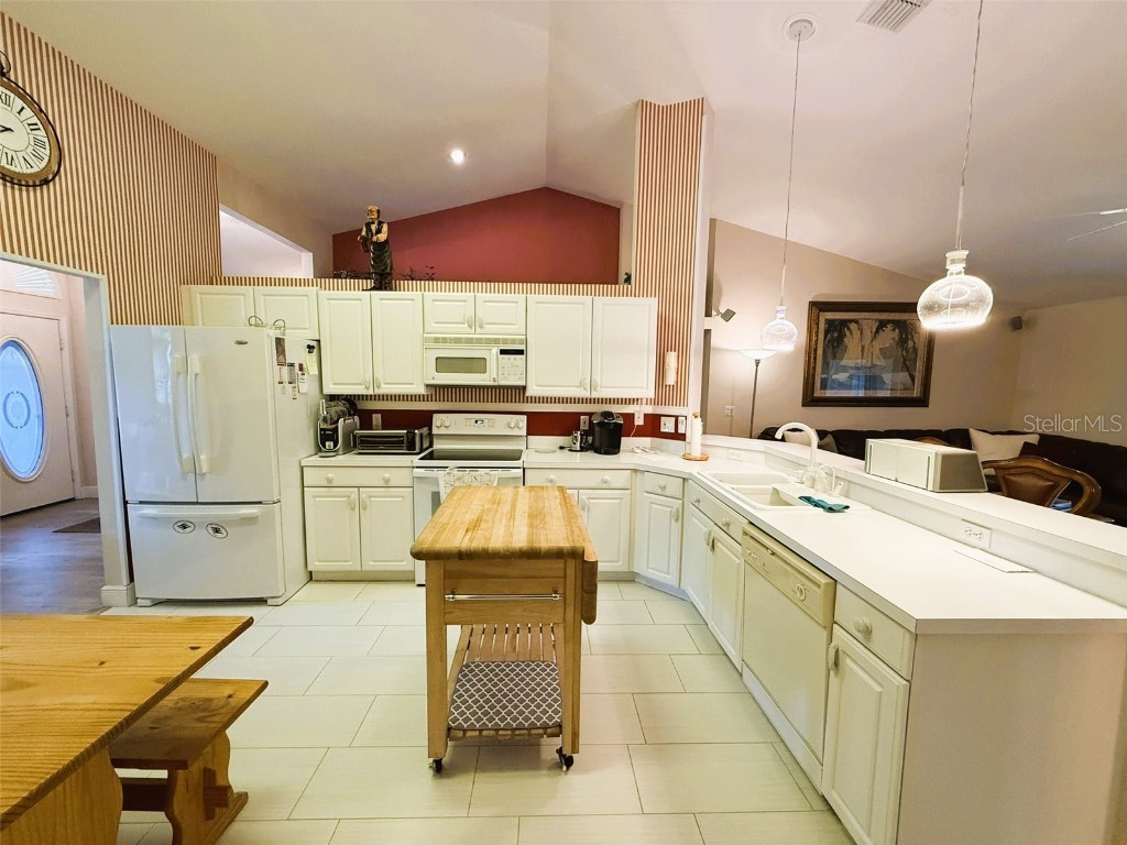 10413 Pointview Court Orlando FL 32836 S5140063 image13