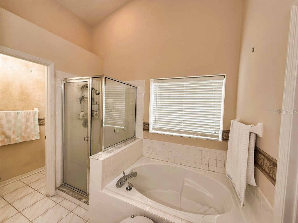 10413 Pointview Court Orlando FL 32836 S5140063 image17