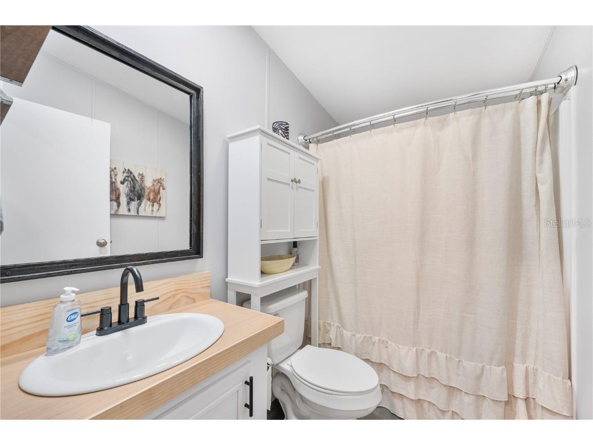 10413 Steven Drive Polk City FL 33868 TB8455787 image21