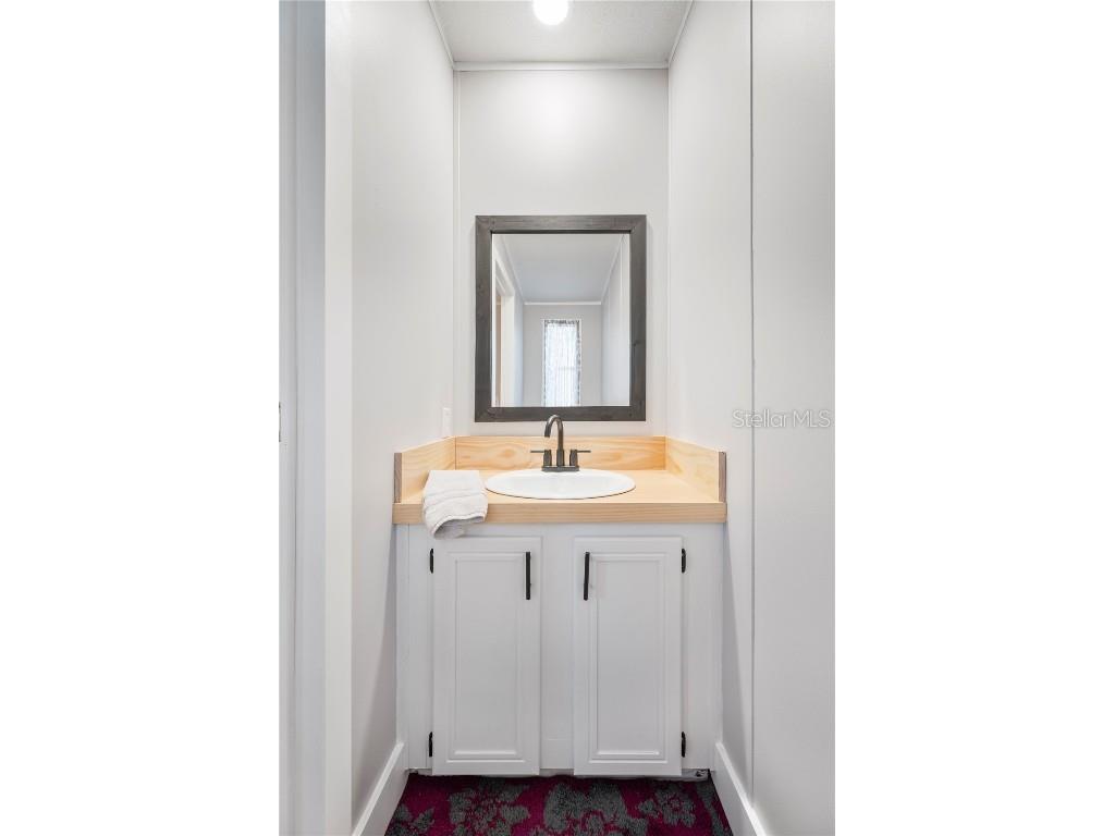 10413 Steven Drive Polk City FL 33868 TB8455787 image22