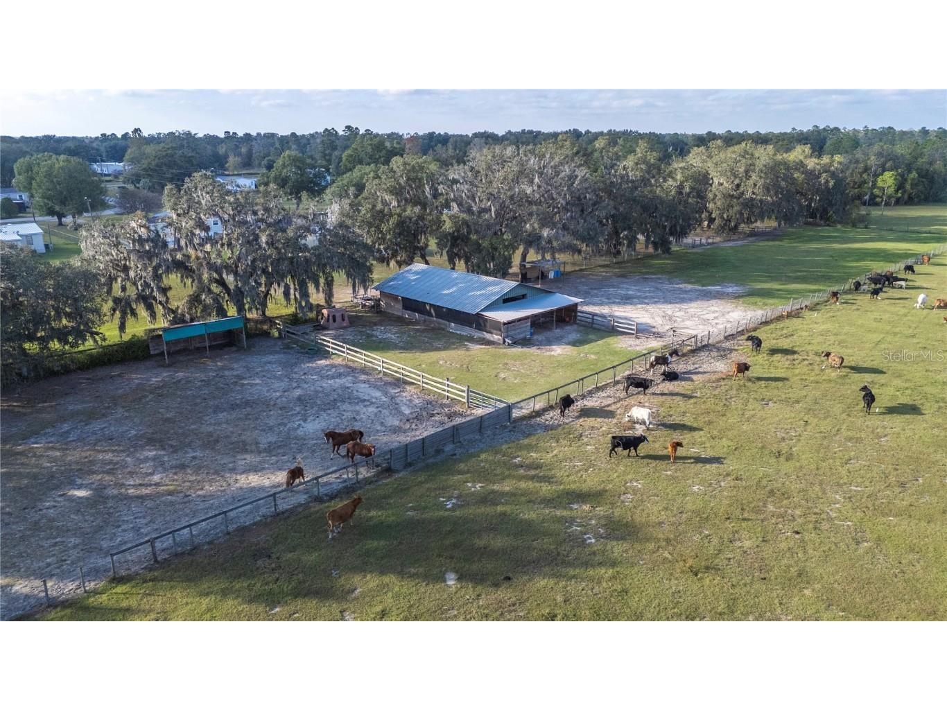 10413 Steven Drive Polk City FL 33868 TB8455787 image75