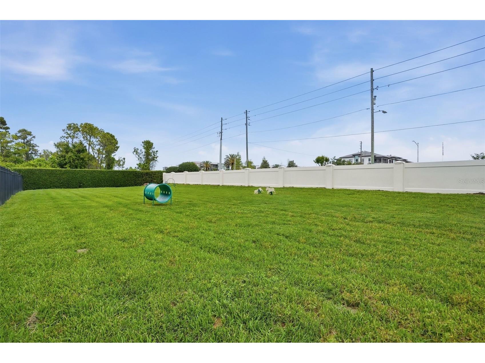 10414 Royal Cypress Way Orlando FL 32836 O6393856 image46
