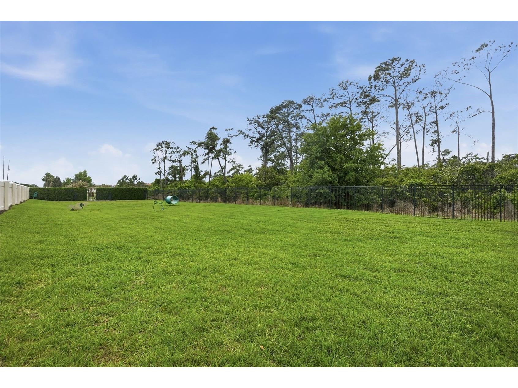 10414 Royal Cypress Way Orlando FL 32836 O6393856 image48