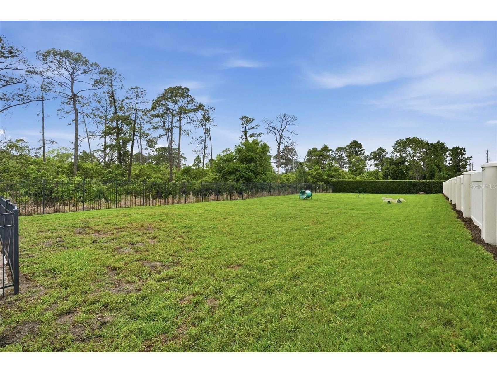 10414 Royal Cypress Way Orlando FL 32836 O6393856 image49