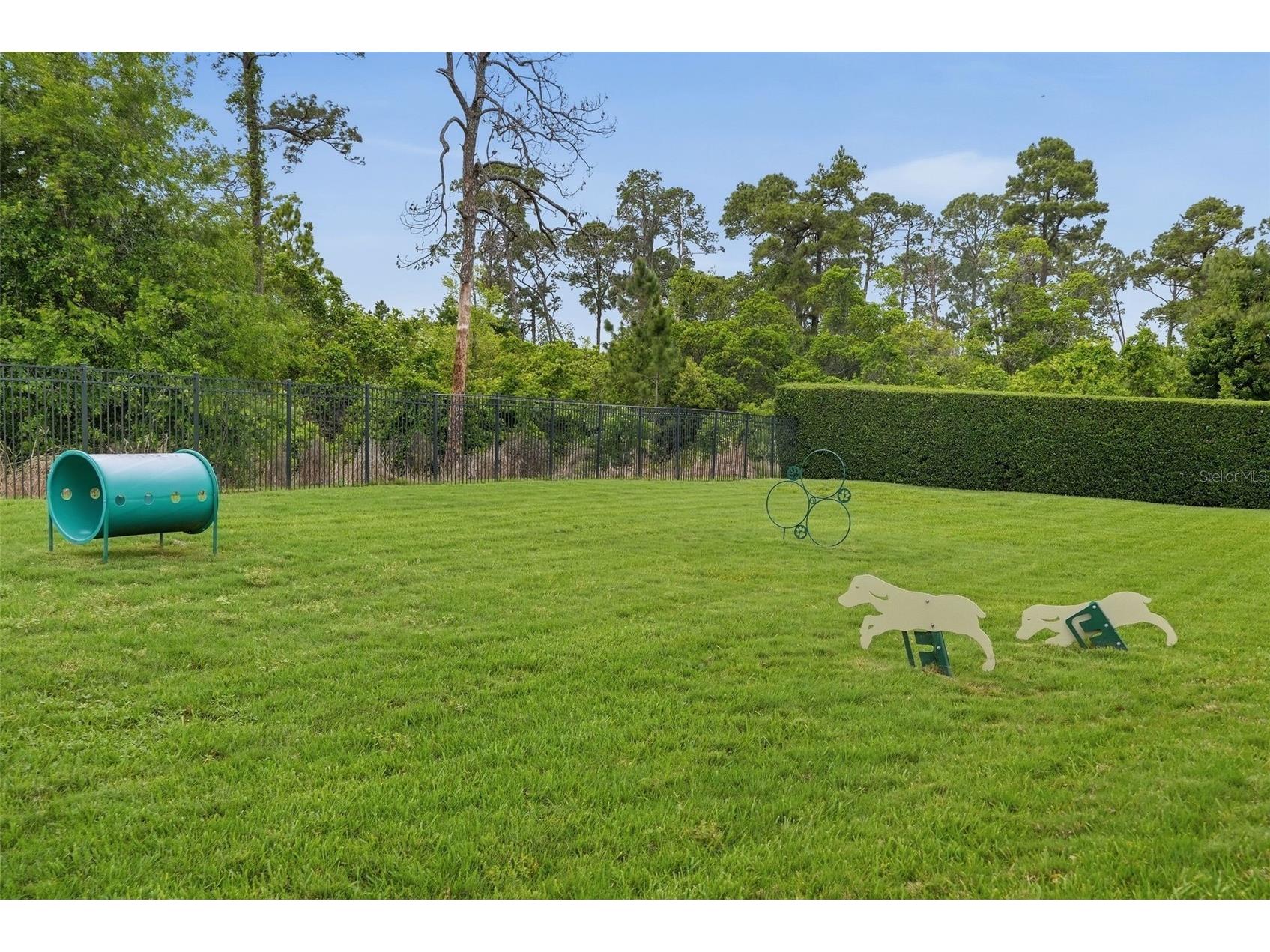10414 Royal Cypress Way Orlando FL 32836 O6393856 image50