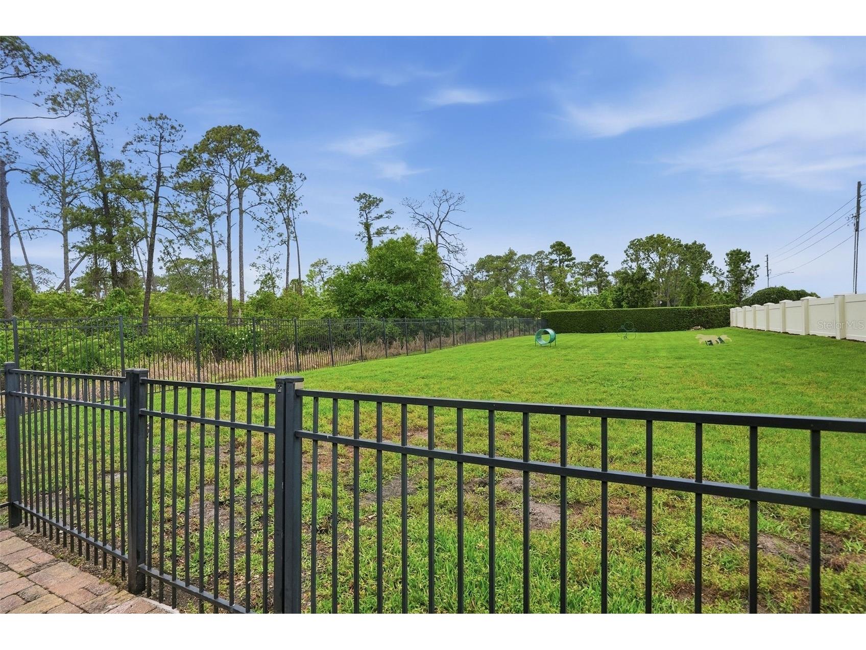 10414 Royal Cypress Way Orlando FL 32836 O6393856 image51