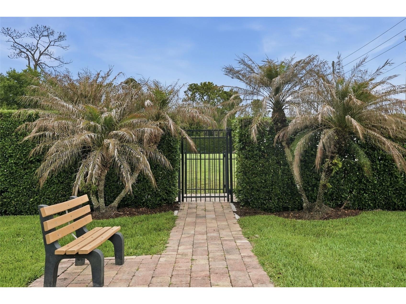 10414 Royal Cypress Way Orlando FL 32836 O6393856 image53