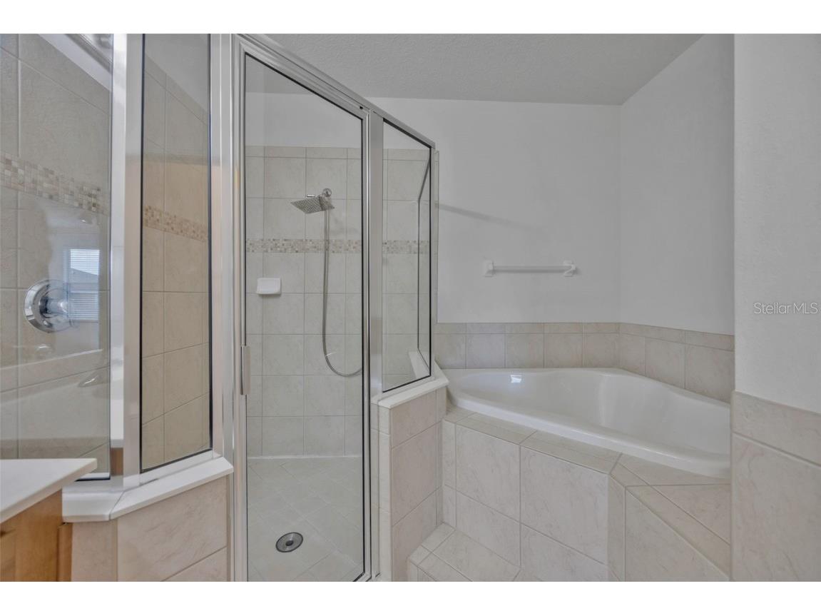 10414 Tulip Field Way Riverview FL 33578 TB8450851 image24