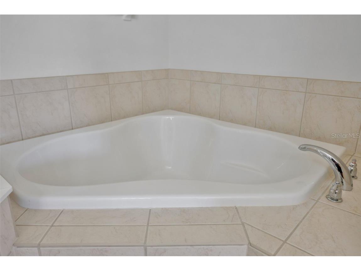 10414 Tulip Field Way Riverview FL 33578 TB8450851 image25