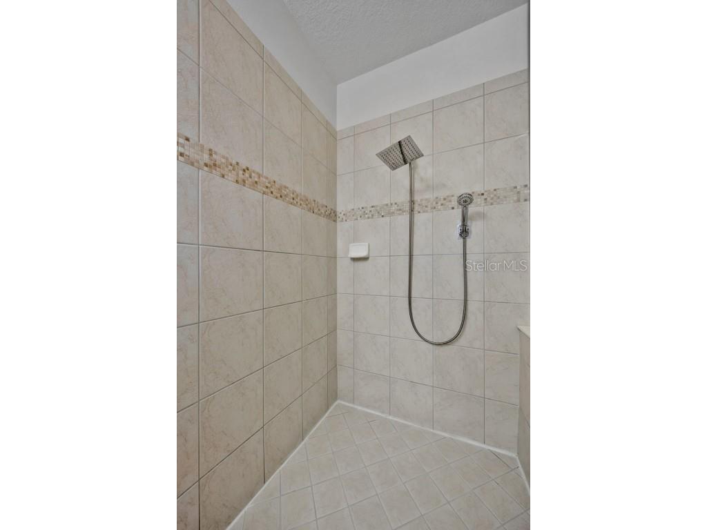 10414 Tulip Field Way Riverview FL 33578 TB8450851 image26