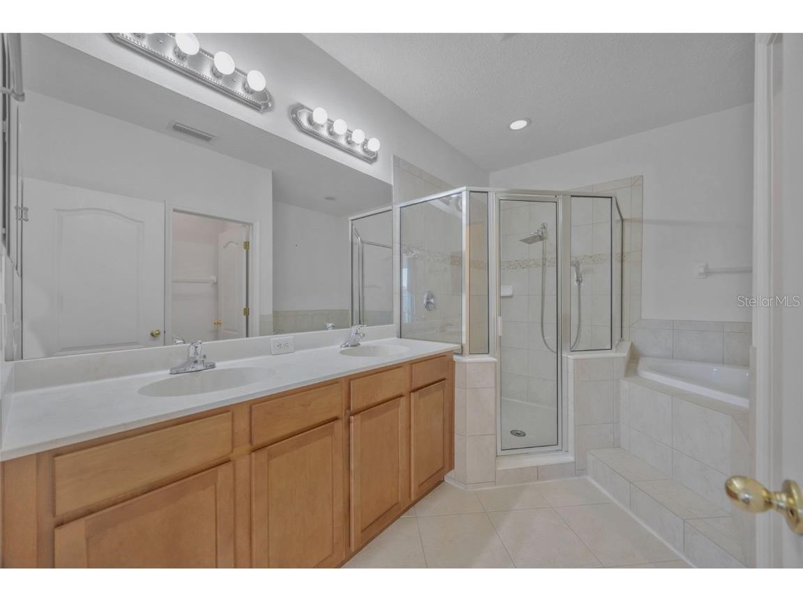 10414 Tulip Field Way Riverview FL 33578 TB8450851 image35