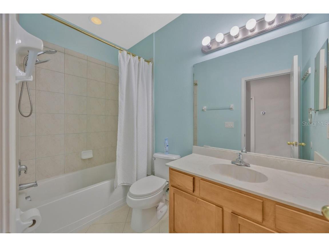 10414 Tulip Field Way Riverview FL 33578 TB8450851 image36