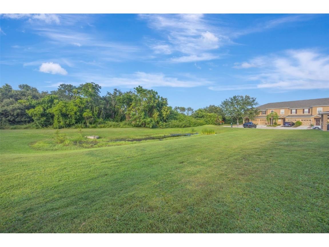 10414 Tulip Field Way Riverview FL 33578 TB8450851 image52