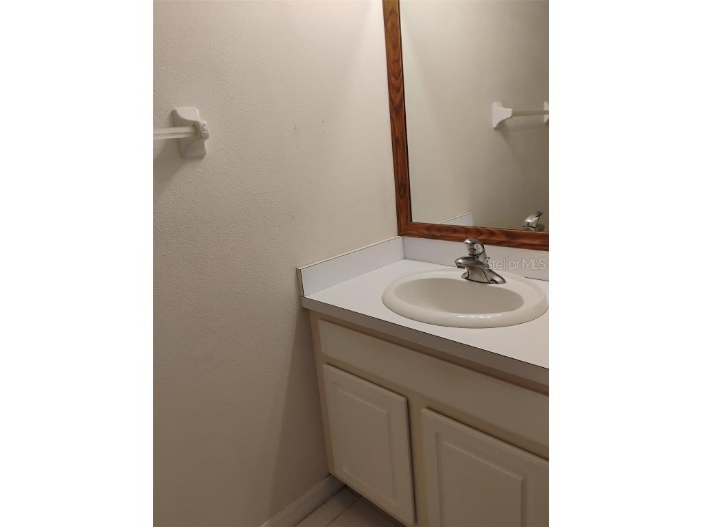 10415 Lucaya Drive Tampa FL 33647 O6311597 image21